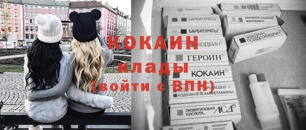 молекула духа Козловка
