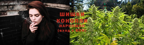 шишки Касимов