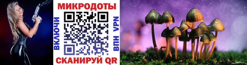 Купить где  Камень-на-Оби  Псилоцибиновые грибы Cubensis 